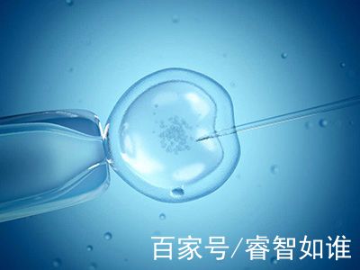 关于清砚堂中医馆